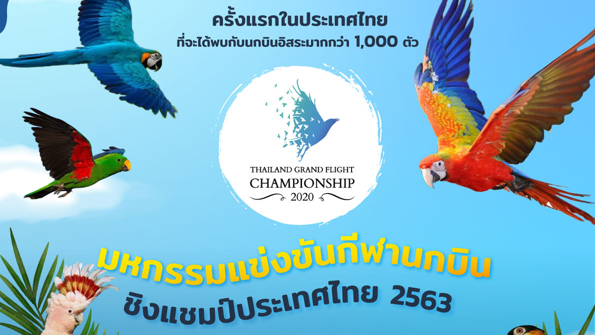Thailand Grand Flight Championship 2020 มหกรรมแข่งขันกีฬานกบินชิงแชมป์ประเทศไทย 2563